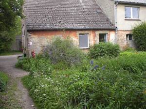 The Kitchen Garden by Red Haircrow