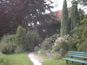 The Ivied Cottage by Red Haircrow