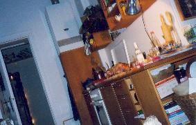 The Damned Goose by Red Haircrow