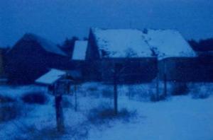 The Fallen by Red Haircrow