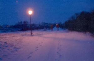 Path by Red Haircrow