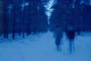 The Woods by Red Haircrow