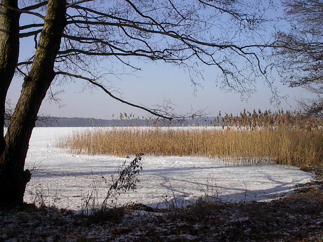 First View by Red Haircrow