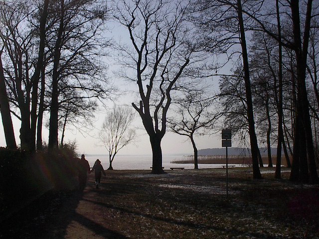 Lovers Stroll by Red Haircrow