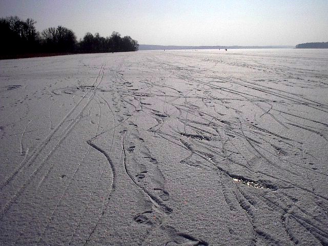 Tracks by Red Haircrow