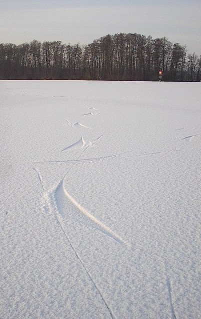 Skater Snow Pattern by Red Haircrow