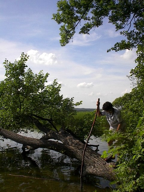 Enjoying Scharmützelsee by Red Haircrow