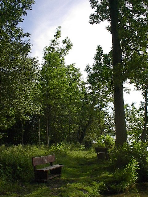 Favorite Spot at Scharmützelsee by Red Haircrow