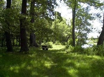 Gentle Bench by Red Haircrow