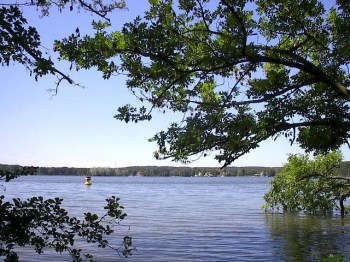 Branches by Red Haircrow