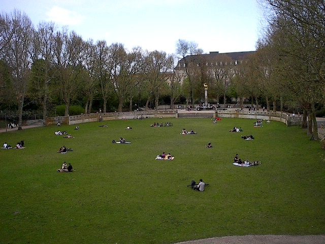 Stag by Red Haircrow