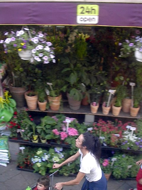 Two Stollers by Red Haircrow