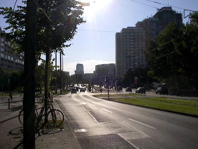 Tram Lines by Red Haircrow