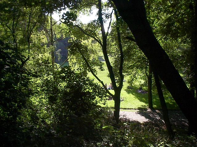 Highpoint Tree View by Red Haircrow