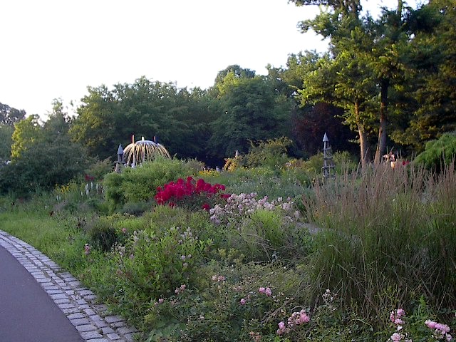 The Last Rays by Red Haircrow