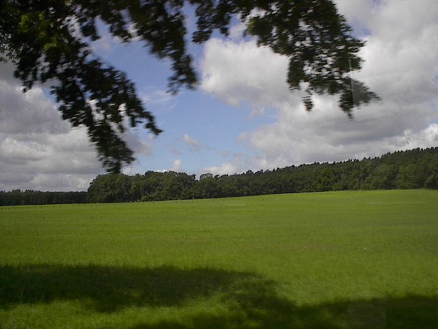 Fields by Red Haircrow