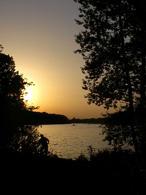 Packing Up To Go by Red Haircrow