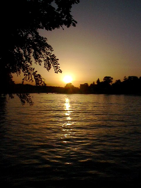 Apricot Evening by Red Haircrow