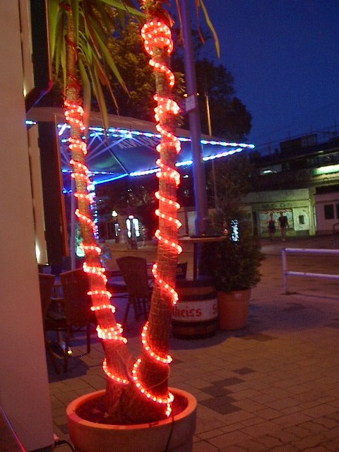 Colorful Tree by Red Haircrow