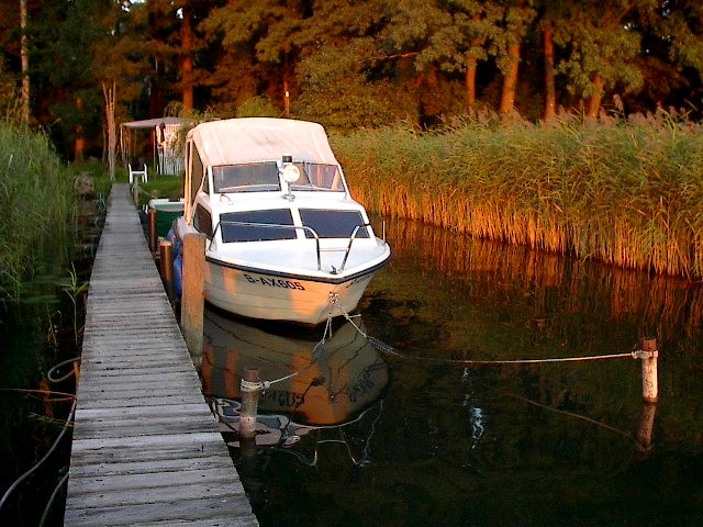 Reeds by Red Haircrow