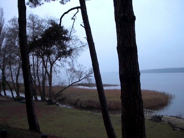 Overlook by Red Haircrow