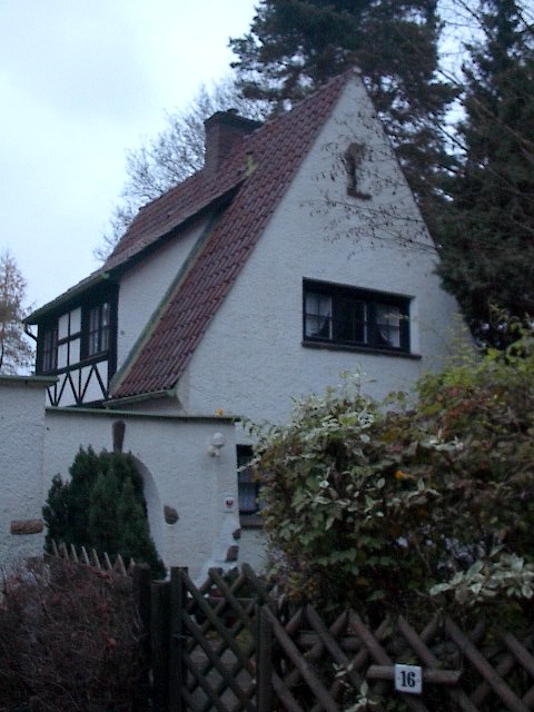 Traditional Style Houses by Red Haircrow