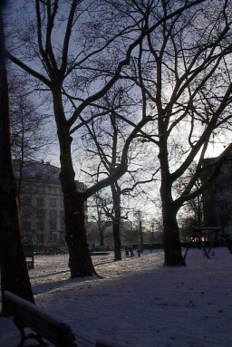 Playground Trees by Red Haircrow