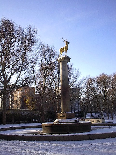 The Stag by Red Haircrow