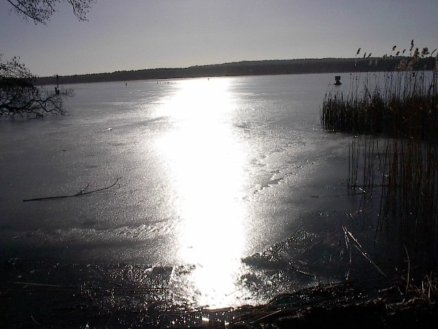 Winter Strand by Red Haircrow