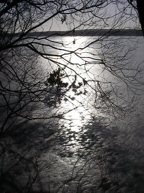 Branches and Shadows by Red Haircrow