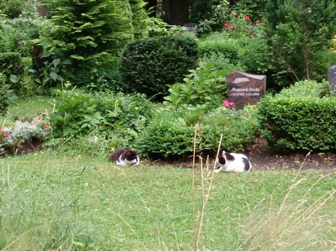 Peace Keepers by Red Haircrow