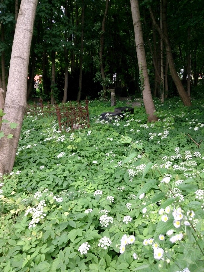 Fallen Stones by Red Haircrow