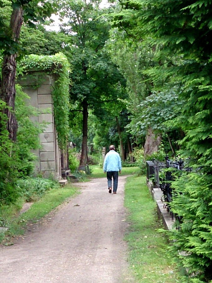 Visitor by Red Haircrow