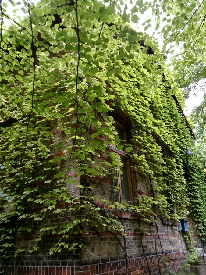 Greenery by Red Haircrow